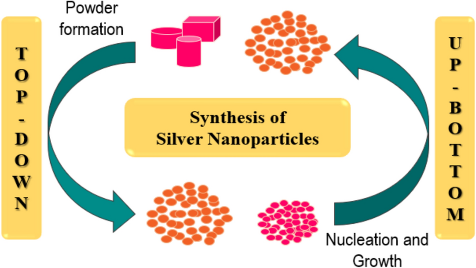 potentials-of-roots,-stems,-leaves,-flowers,-fruits,-and-seeds-extract-for-the-synthesis-of-silver-nanoparticles-|-bioprocess-…-–-springer