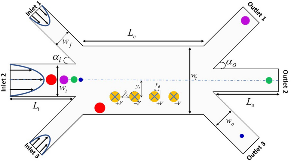 numerical-study-and-statistical-analysis-of-effective-parameters-on-dielectrophoretic-separation-of-particles-using-finite-…-–-springer