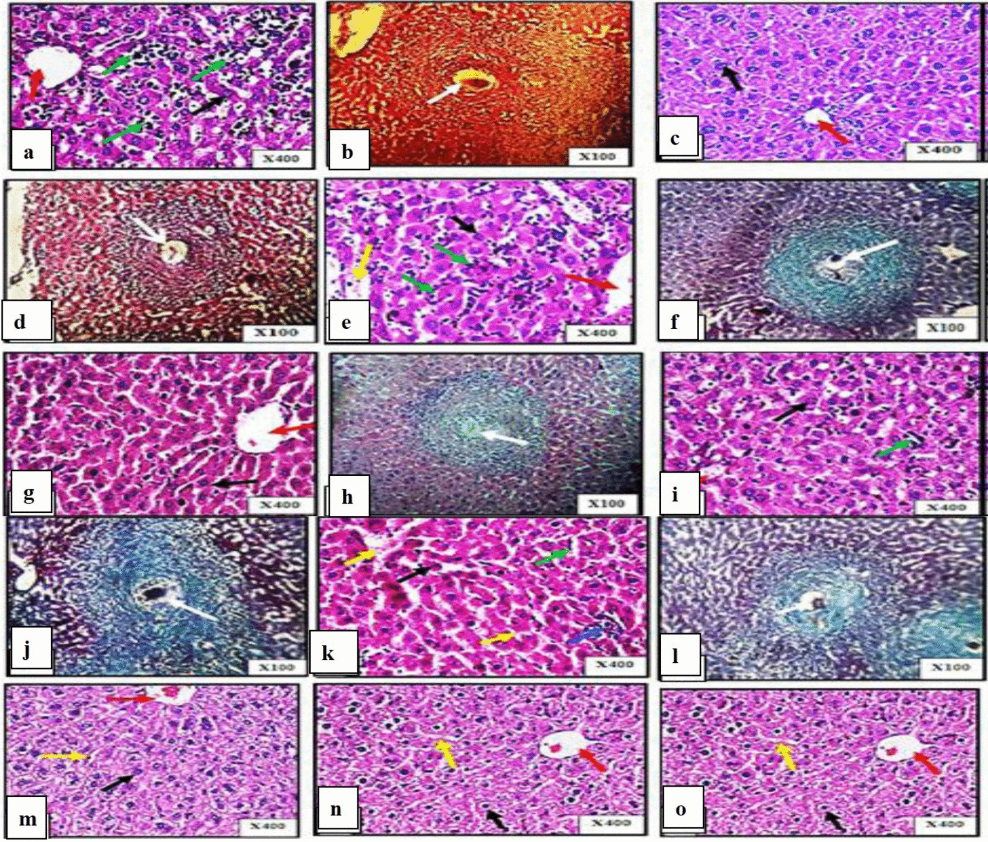 evaluation-of-the-prophylactic-and-therapeutic-efficacies-of-mucus-and-tissue-nucleoproteins-extracted-from-…-–-springer