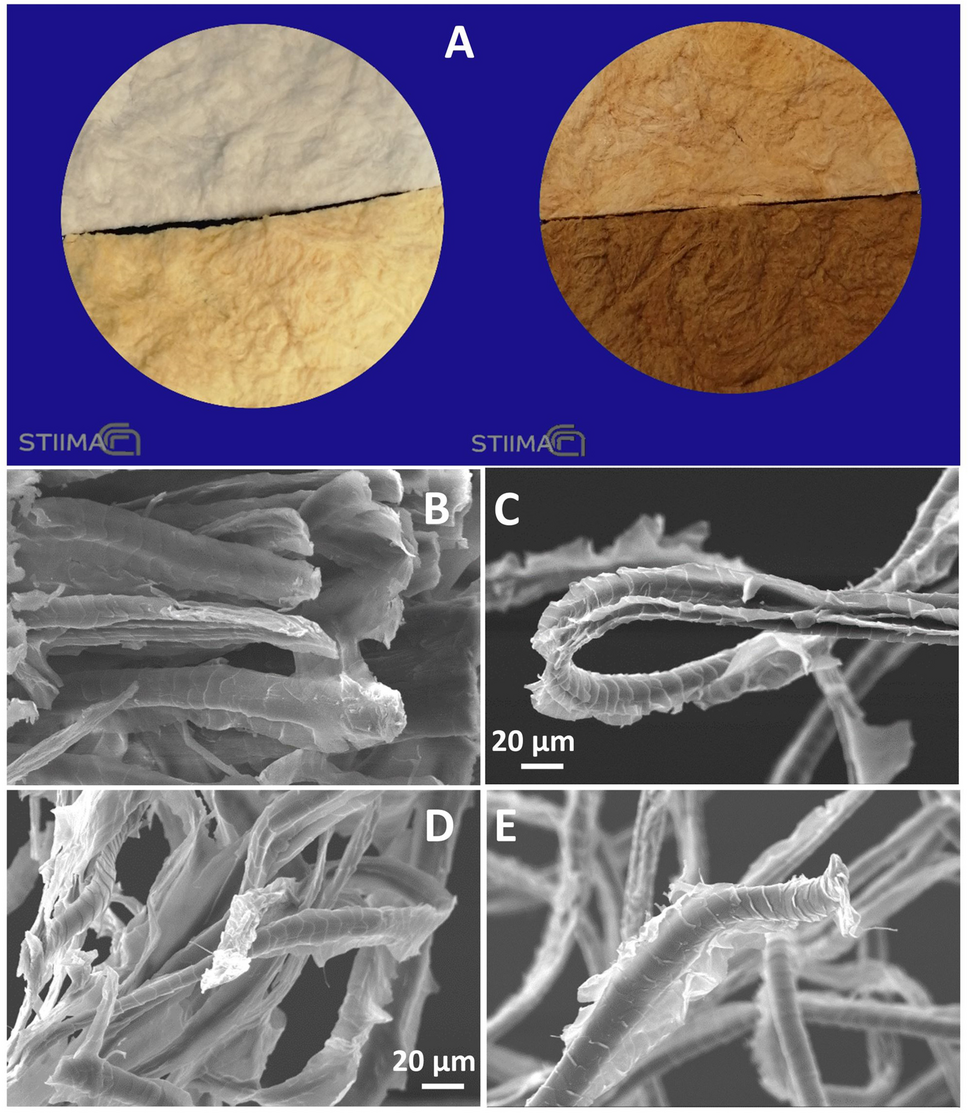 towards-zero-waste-processes:-waste-wool-derivatives-as-phosphate-adsorbents-and-auxiliaries-for-textiles’-natural-dyeing-–-springer