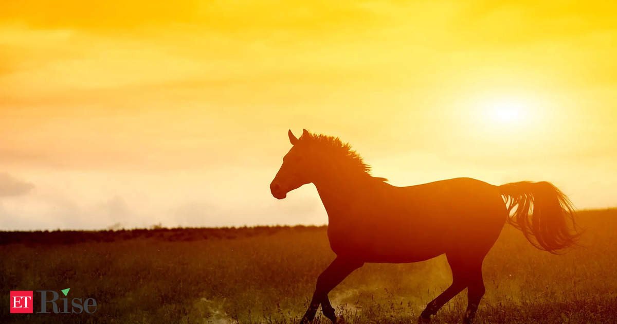 a-history-of-globalisation-on-horseback