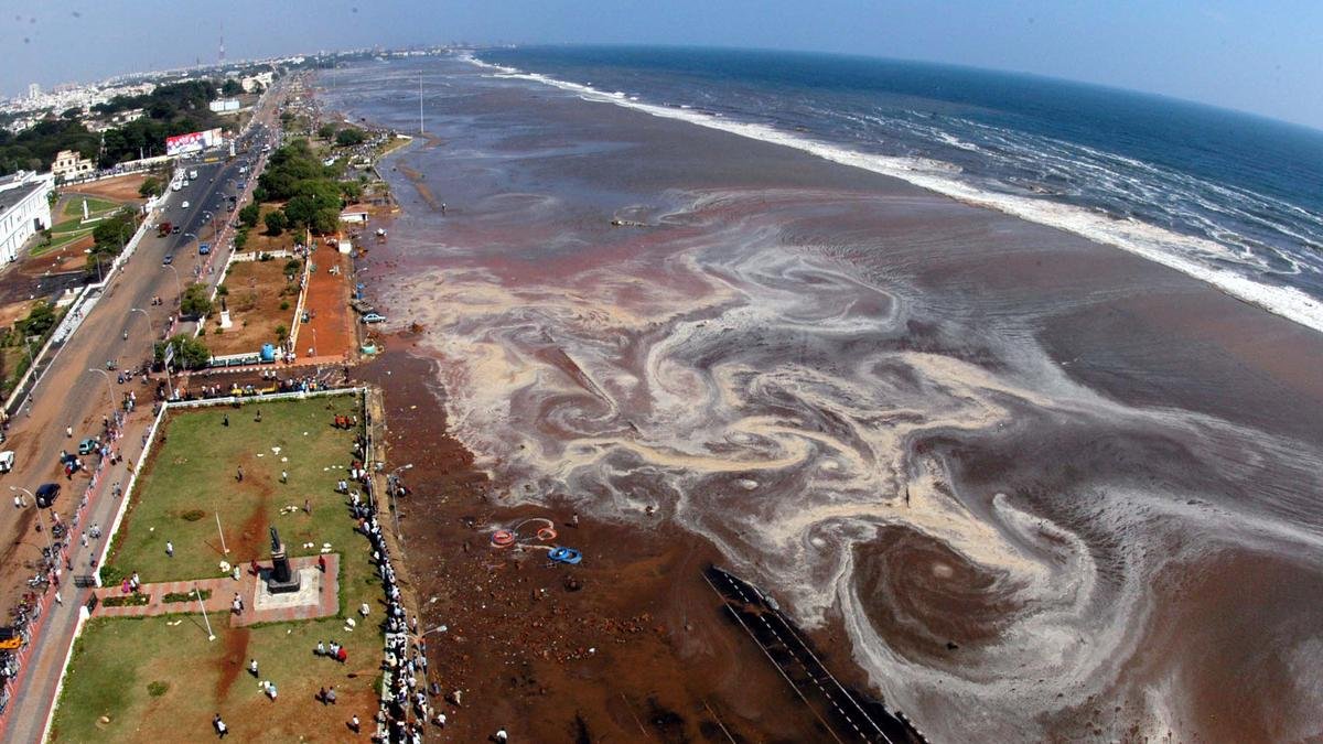 how-the-2004-indian-ocean-earthquake-transformed-tsunami-science