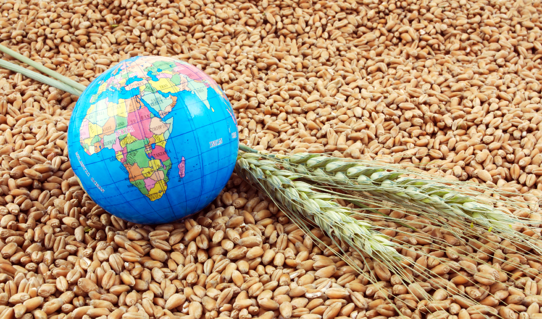 food-security-in-sub-saharan-africa:-analysis-of-current-situation-and-future-scenarios