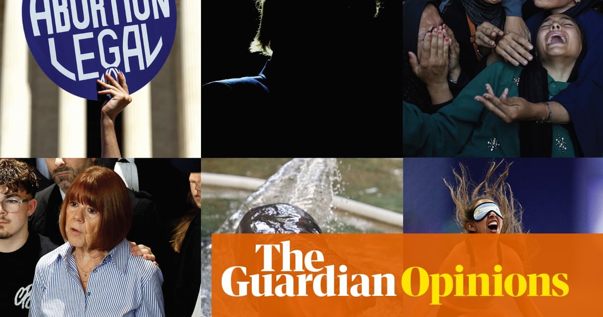 the-year-in-patriarchy:-coconut-trees,-‘childless-cat-ladies’-and-crimes-against-humanity