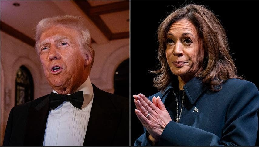 us-army-soldier-charged-over-alleged-hacking-of-trump,-harris-phone-records