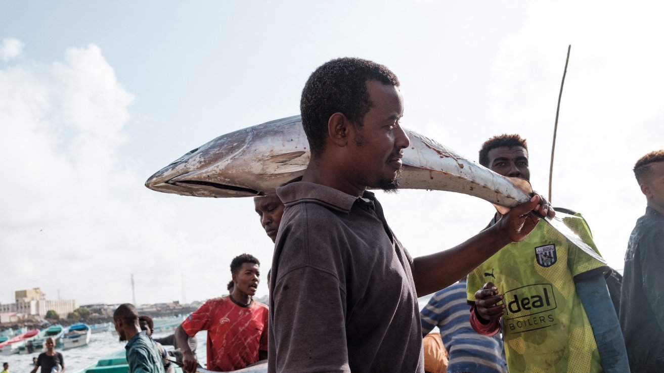 local-and-global-cost-of-illegal-tuna-fishing-off-somalia’s-coast