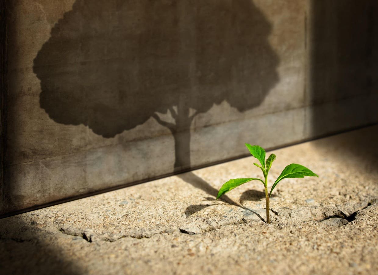 surviving-and-thriving:-a-personal-odyssey