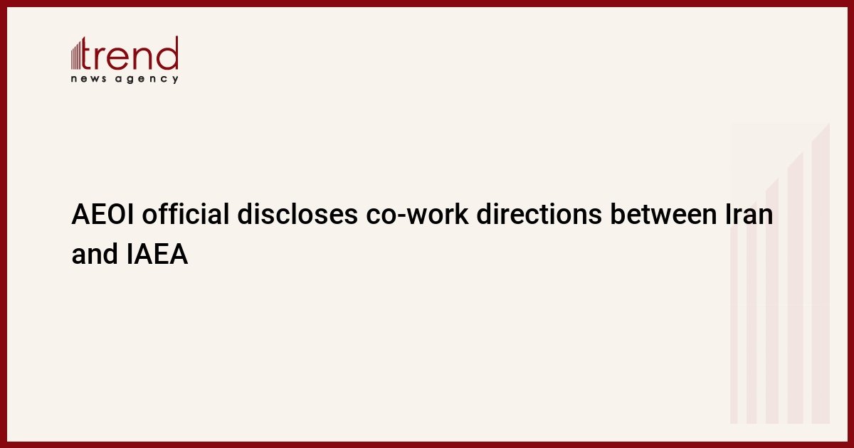 aeoi-official-discloses-co-work-directions-between-iran-and-iaea