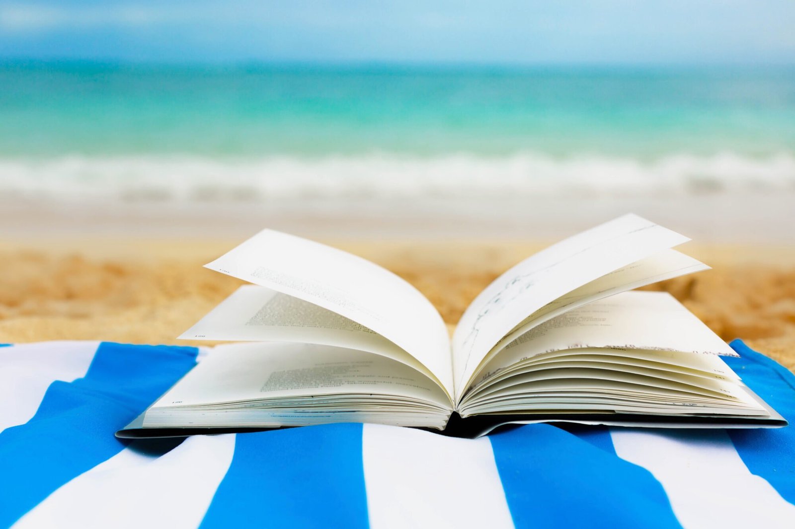 Summer Reading Recommendations from IWP Professors